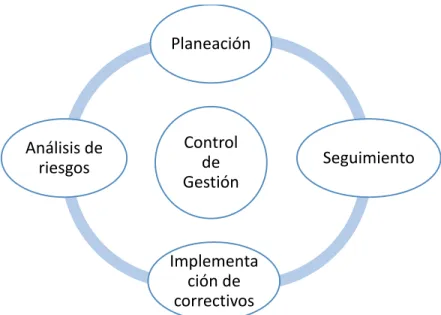 Ilustración 10. Etapas Control de gestión 