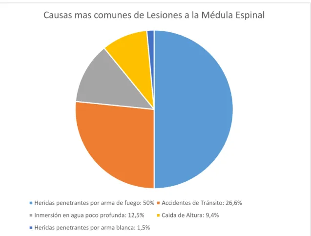 Gráfico 2-1: Causas más comunes de Lesiones en la Médula Espinal 