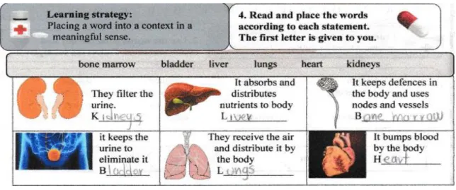 Figure 1. Students’ artefacts: worksheet 2 
