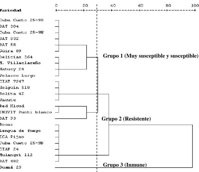 Figura  5.  Dendrograma  obtenido  a  partir  de  la  evaluación  de  la  roya  en  variedades  de  frijol  a  los  63  días  de  la  siembra  empleando  la  metodología  informada por el CIAT en 1987