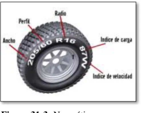 Tabla 2-3: Dimensiones del neumático 