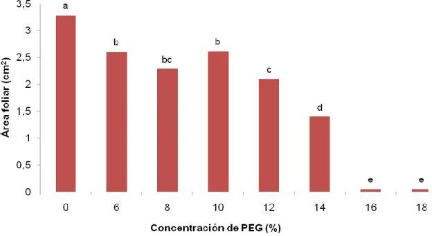Figura 3.4. Efecto de diferentes concentraciones de PEG-6 000 sobre el área foliar de Phaseolus vulgaris  var