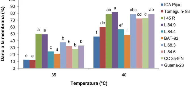Figura 3.5. Efecto de las temperaturas de 35 y 40 °C sobre la pérdida de electrólitos en el tejido foliar de  10 genotipos de Phaseolus vulgaris  