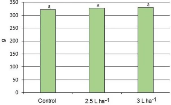 Figura 4. Efecto del FitoMas-E sobre el rendimiento biológico del girasol cv. CIAP JE-94 
