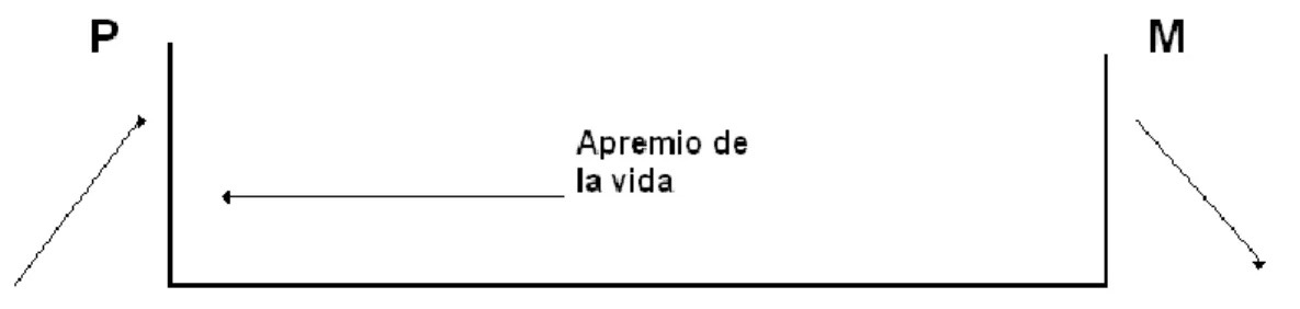 Ilustración  1.  Percepción  (P), Descarga  motora o  Motilidad (M)  y  el  Apremio  de  la  vida,  que  apunta hacia la  percepción que satisfaga el apremio, ya que la descarga motora se muestra ineficaz para conseguirla