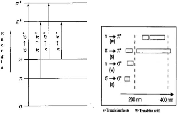 Fig. 2:  Transiciones electrónicas posibles entre orbitales