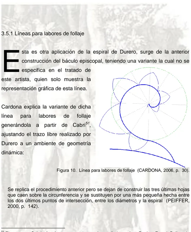 Figura 10.  Línea para labores de follaje  (CARDONA, 2006, p.  30). 