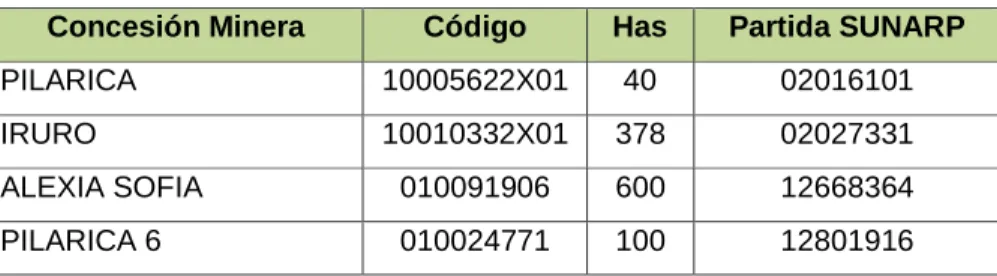 Cuadro 1.9-1 Acceso al Proyecto de Exploración Pilarica 
