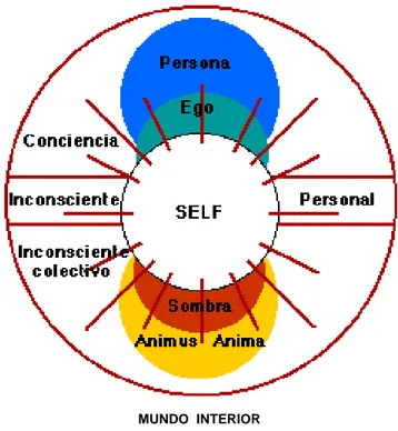 Figura 2. Estructura de la psique según JungMUNDO INTERIOR