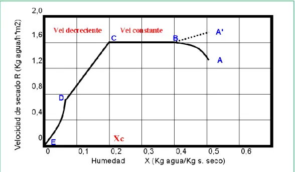 Figura Nº 6: Curva de velocidad de secado vs humedad 