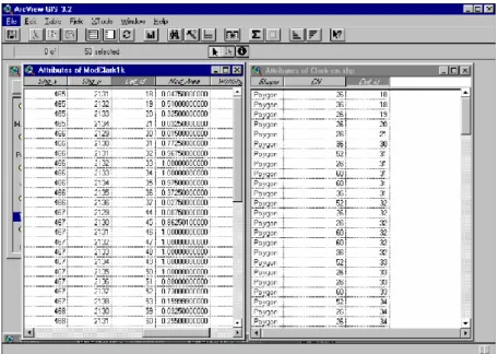 Figura 10-2: Tablas ArcView 