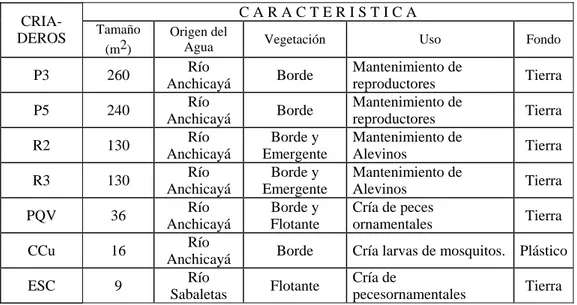 Tabla 1. Características de los estanques muestreados en Sabaletas,  Municipio de Buenaventura, durante 1993