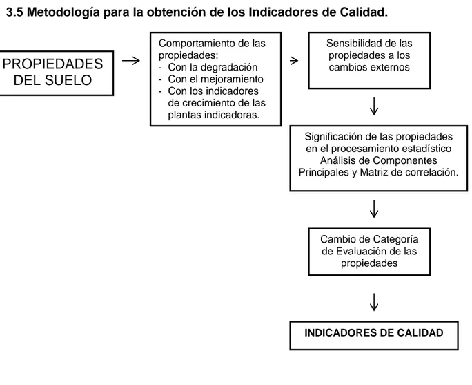 Figura 1. Procedimiento para la obtención de los indicadores de calidad         propuesto por Morales y Díaz, (2003) y Reyes, (2006)