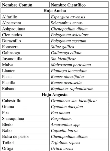 Tabla N.1 MALEZAS DE LA SIERRA   Nombre Común  Nombre Científico 