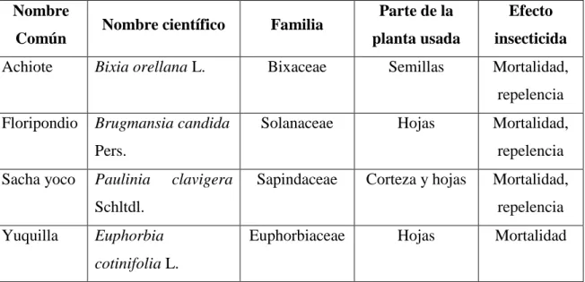 Cuadro 1. Especies botánicas para el control de P. xylostella. 