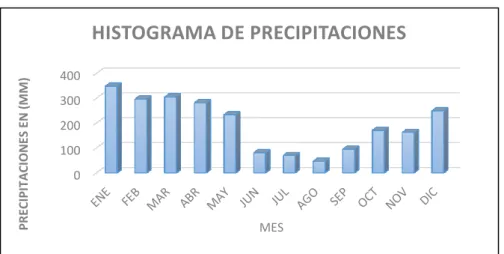 Gráfico 7: Histograma de Precipitaciones 