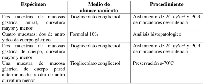 Tabla 1. Protocolo de toma de biopsias por endoscopia.
