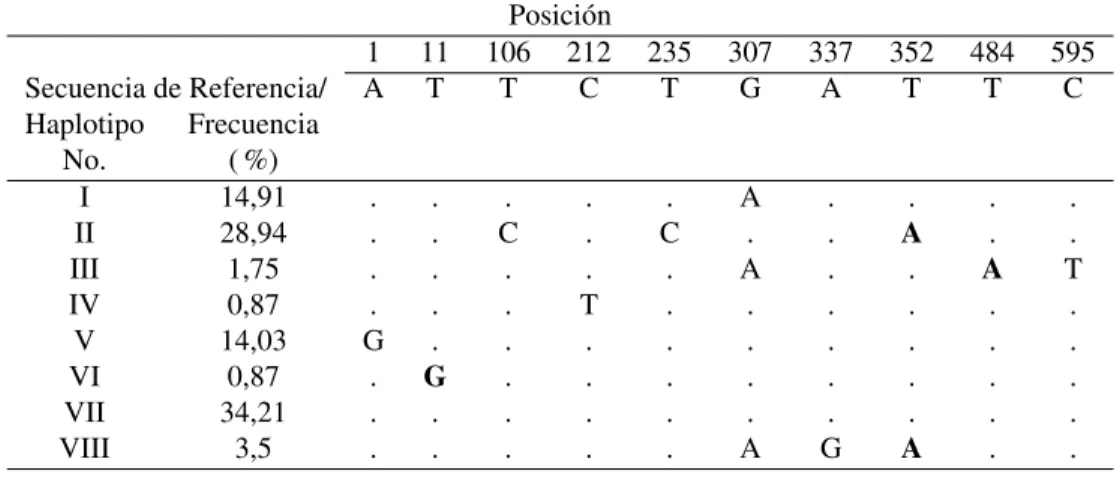 Tabla 1. Alineamiento de haplotipos del gen COI de 115 muestras de P. longifila, los n´umeros en la parte superior indican la posici´on de los cambios nucleot´ıdicos (en p.b.) a lo largo de un fragmento de 658 p.b., los puntos indican bases id´enticas para