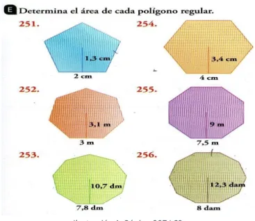 Ilustración 1. Página 207 LCS. 