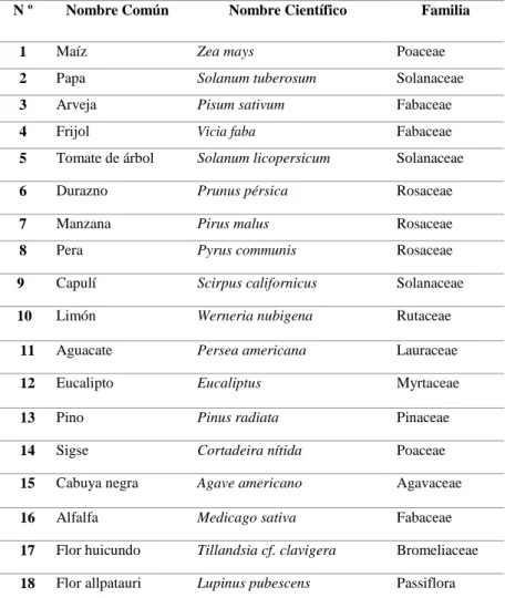 Tabla 13-7. Atractivos potenciales de flora 