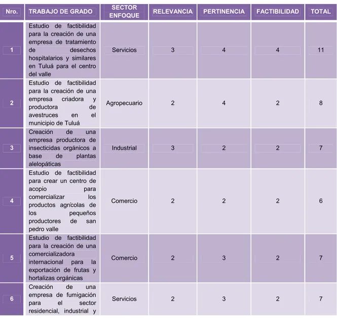 Cuadro 6: Matriz de valoración Relevancia, Pertinencia, Factibilidad de los trabajos de grado 