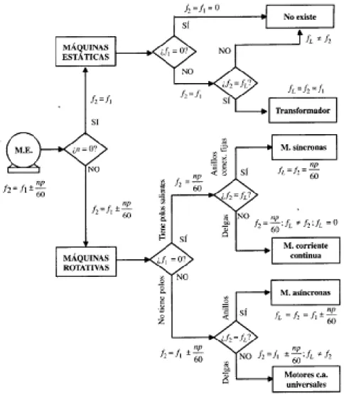 Figura 1.3 Clasificación de las MER según [2] 