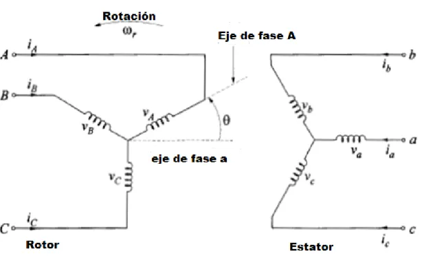 Figura 1.6. Diagrama esquemático con la representación espacial de los devanados del estator y rotor  para una máquina de inducción trifásica