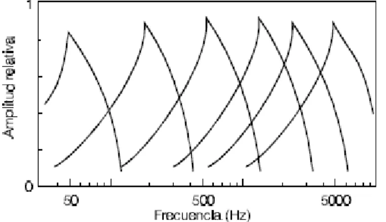 Figura 1.7: Amplitud del movimiento en distintos puntos de la membrana basilar para  distintas frecuencias de estimulación con la misma intensidad