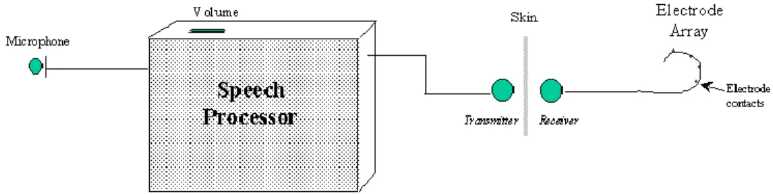 Figura 1.13: Estructura del IC  El funcionamiento de un IC se divide en dos partes: interna y externa