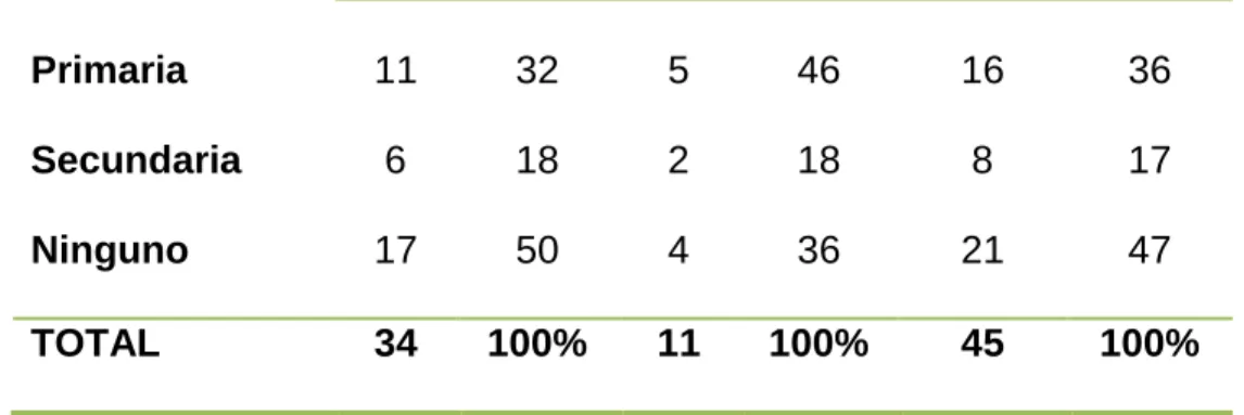 GRÁFICO  N° 4 