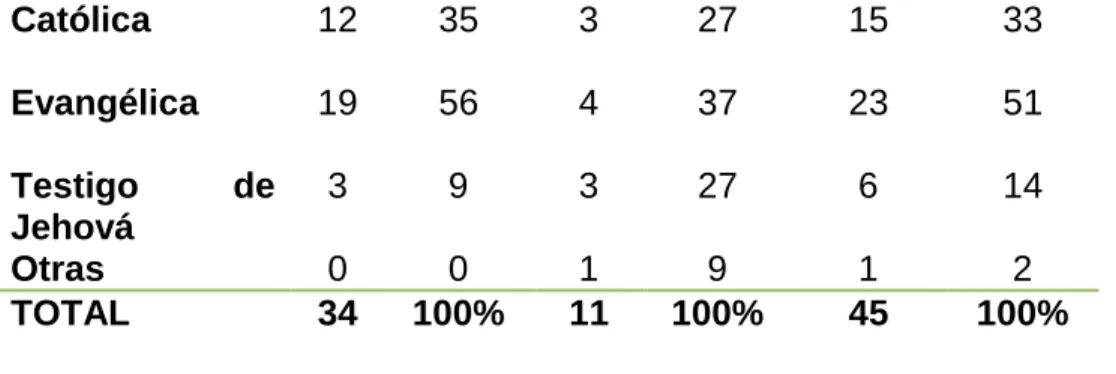 GRÁFICO  N° 5 