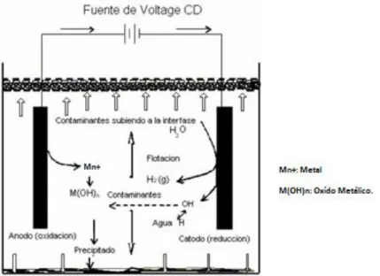 Figura 1. Esquema del Proceso de EC (Tomado de: Mollah P. et al, 2004) 