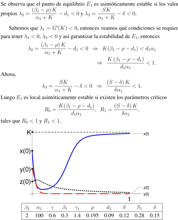 Figura 3.2: Comportamiento asint´otico de las soluciones de (3.1) atra´ıdas por el punto de equilibrio E 1 .