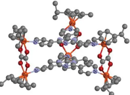 Fig 10: Estructura molecular de metalo-prisma de Ru-areno, [Ru 6 (p-cimeno) 6 (ox) 3 (tpt) 2 ] 6+ 