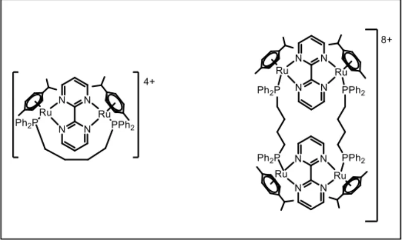 Fig 14:Ejemplos de posibles  compuestos con distinta relación  estequiométrica complejo/fosfina 