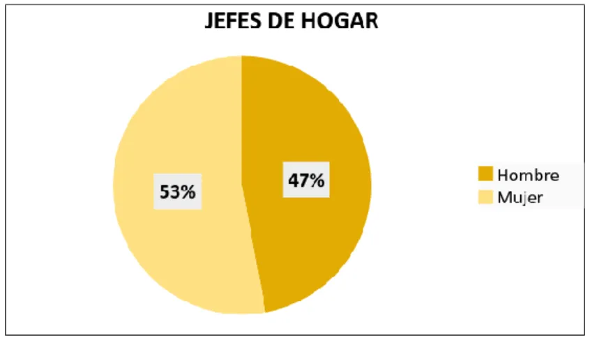 Gráfico 4. Jefes de hogar del barrio El Retiro 5