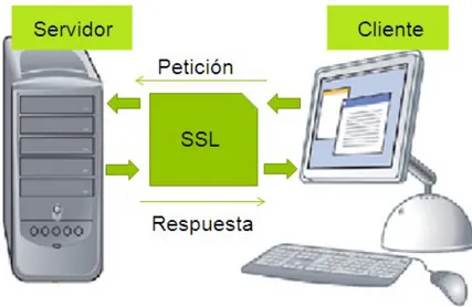 Fig 1.3 - Sistema Cliente-Servidor Seguro.