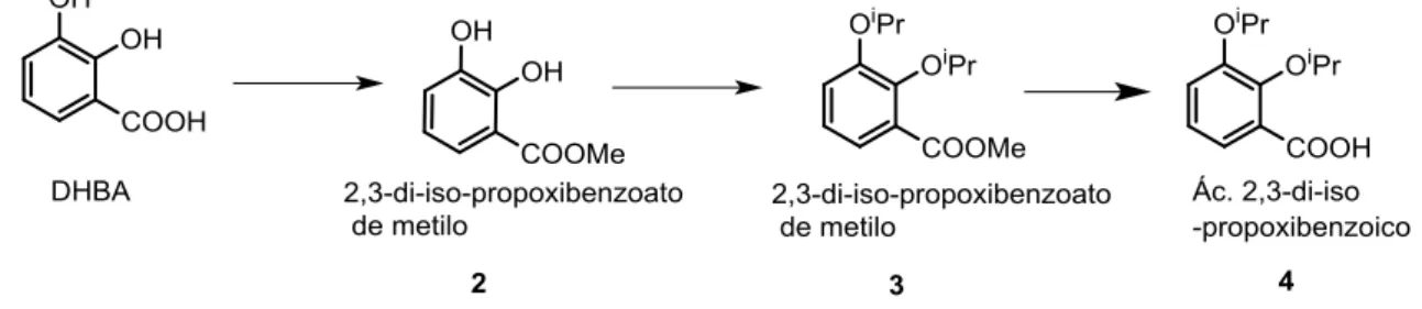 Figura 13 Primera parte de la ruta de síntesis del intermedio para la obtención del sideróforo, con la obtención  del ácido 2,3-di-iso-propoxibenzoico 