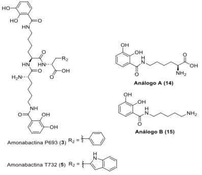 Figura 1. Estrutura das amonabactinas e dos análogos A e B sintetizados. 