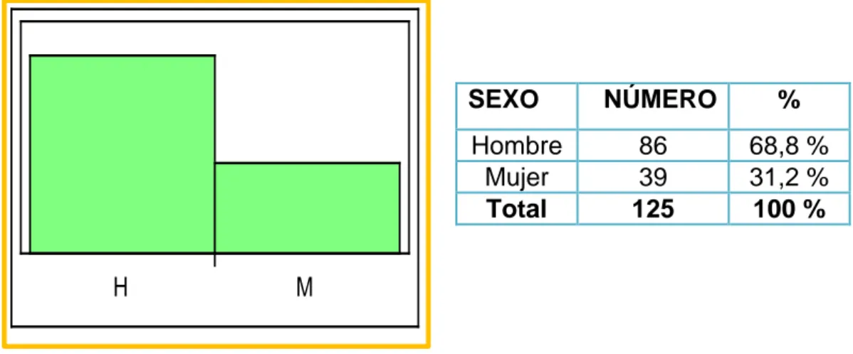 GRÁFICO  Nº 2 