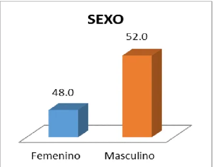 GRÁFICO Nº 1 