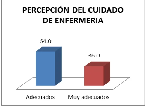 GRÁFICO Nº 4 