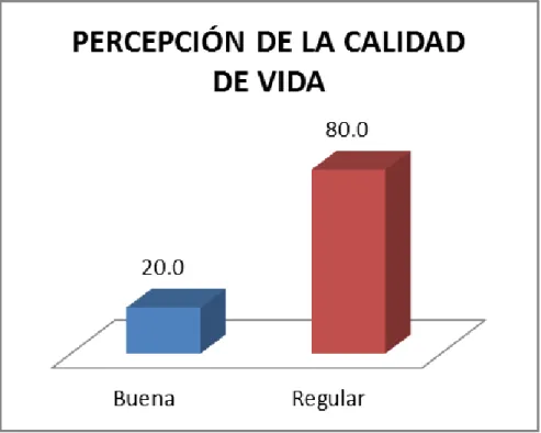 GRÁFICO Nº 5 