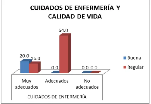 GRÁFICO Nº 6 