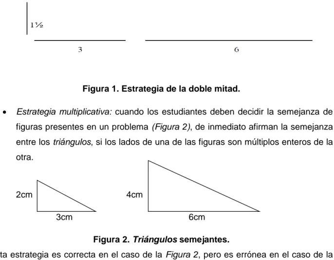 Figura 1. Estrategia de la doble mitad. 