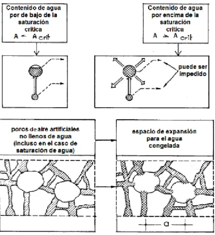 Figura  3.4: Presión hidráulica. (Fernandez Cánovas, 2007) 