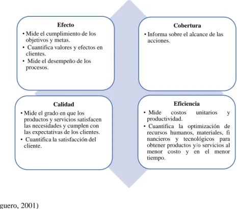 Gráfico 14: Dimensiones evaluadas a través de los indicadores 