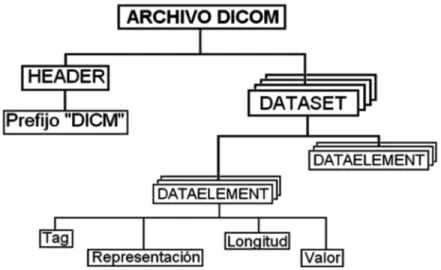 Figura 1. Representación jerárquica de un archivo DICOM,  tomada de Rivera, et al., 2010