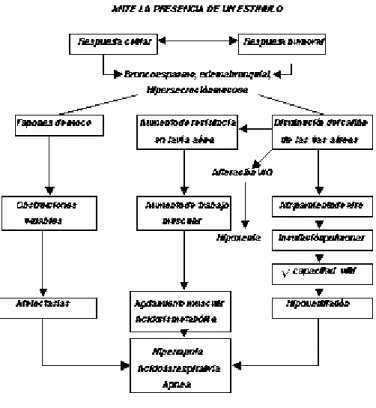 Figura 1. Fisiopatología del estatus asmático