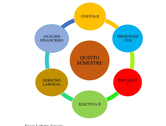 Figura 5. Quinto Semestre 